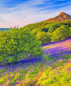 North York Moors National Park Rosberry Diamond Painting