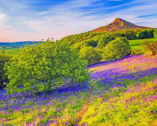 North York Moors National Park Rosberry Diamond Painting