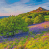 North York Moors National Park Rosberry Diamond Painting