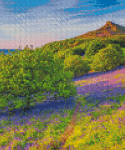 North York Moors National Park Rosberry Diamond Painting