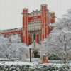 Oklahoma University In Winter Diamond Painting