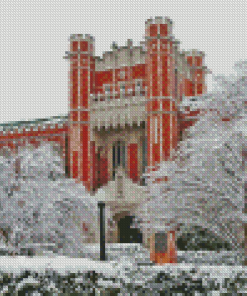 Oklahoma University In Winter Diamond Painting