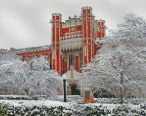 Oklahoma University In Winter Diamond Painting