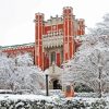 Oklahoma University In Winter Diamond Painting