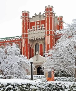 Oklahoma University In Winter Diamond Painting