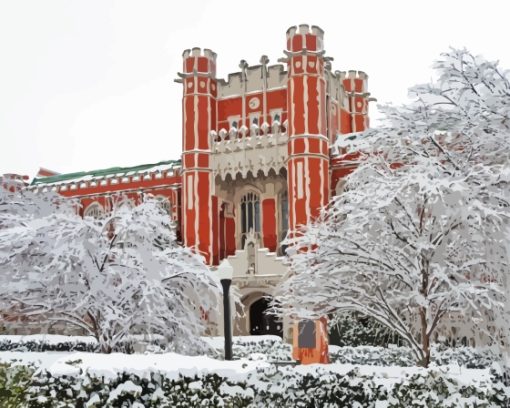 Oklahoma University In Winter Diamond Painting