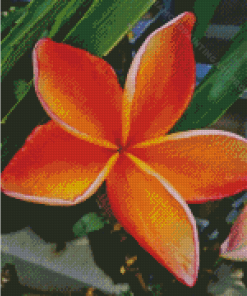 Orange Plumeria Flowering Plant Diamond Painting