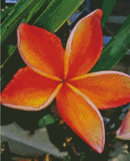 Orange Plumeria Flowering Plant Diamond Painting