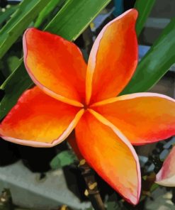 Orange Plumeria Flowering Plant Diamond Painting