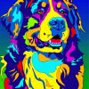 Pop Art Bernese Mountain Dog Diamond Painting