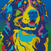 Pop Art Bernese Mountain Dog Diamond Painting