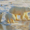 Polar Bears Mother With Cubs Diamond Painting