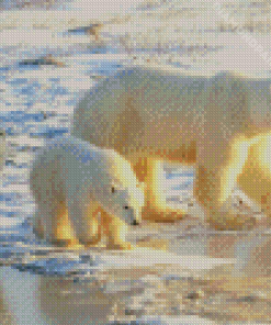 Polar Bears Mother With Cubs Diamond Painting