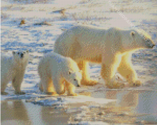 Polar Bears Mother With Cubs Diamond Painting