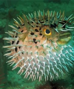 Puffer Fish Underwater Diamond Paintings