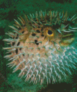 Puffer Fish Underwater Diamond Paintings