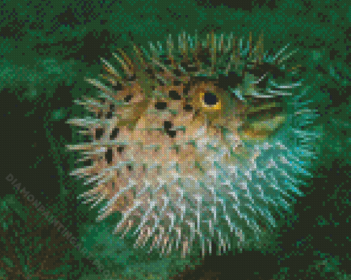 Puffer Fish Underwater Diamond Paintings