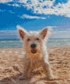 Puppy Dog In The Beach Diamond Painting