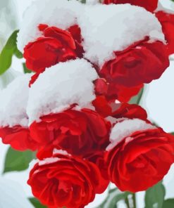 Red Roses In Snow Diamond Painting