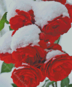 Red Roses In Snow Diamond Painting