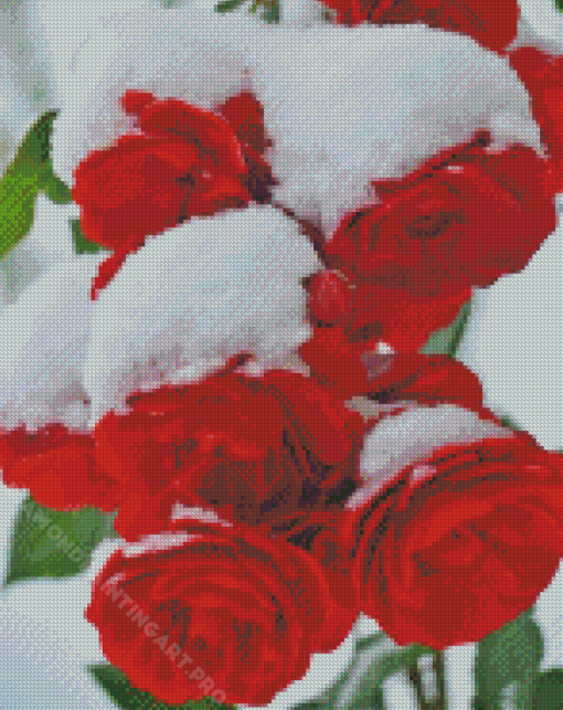 Red Roses In Snow Diamond Painting