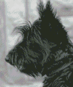 Scottish Terrier Side Profile Diamond Painting