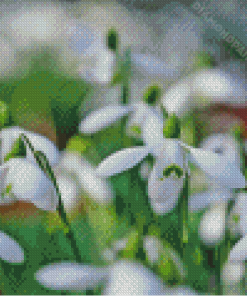 Snowdrops Diamond Painting