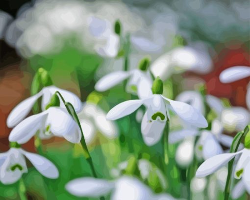 Snowdrops Diamond Painting