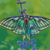 Spanish Moon Moth Switzerland Diamond Painting