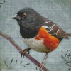 Towhee Bird Diamond Painting