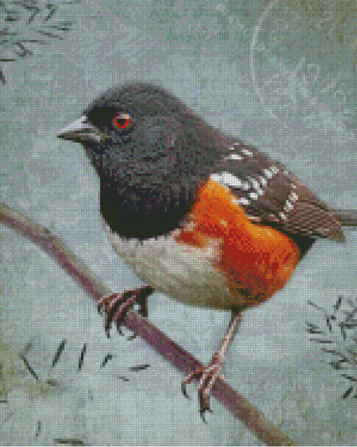 Towhee Bird Diamond Painting