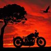 Tree And Motorcycle Sunset Scene Diamond Painting