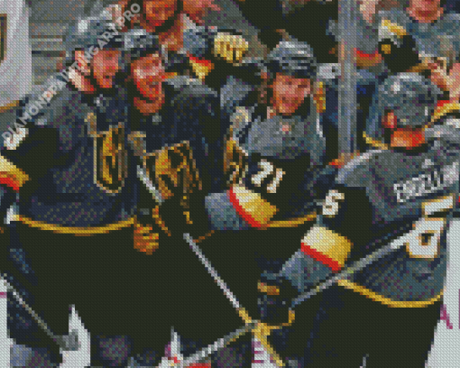 Vegas Golden Knights Players Diamond Painting