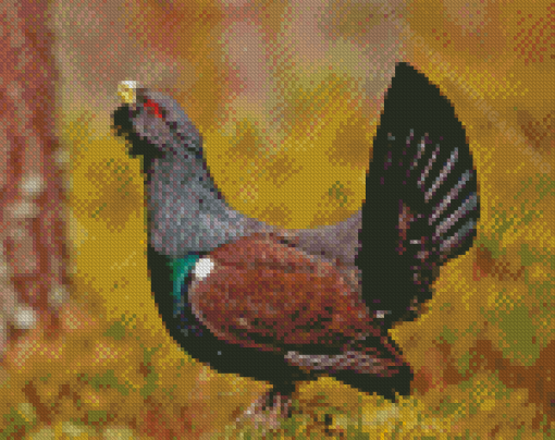 Western Capercaillie Diamond Painting