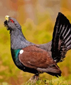 Western Capercaillie Diamond Painting