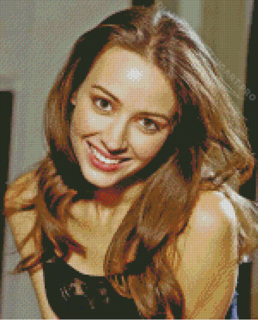 Young Amy Acker Diamond Painting