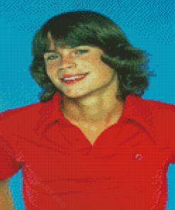 Young Rob Lowe Diamond Painting