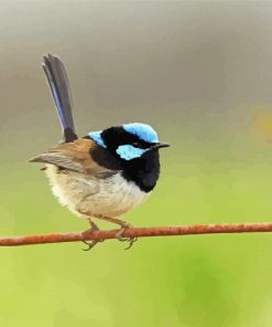 Aesthetic Fairy Wren Bird Diamond Painting