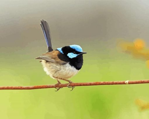 Aesthetic Fairy Wren Bird Diamond Painting