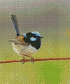 Aesthetic Fairy Wren Bird Diamond Painting