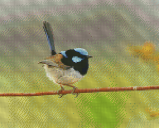 Aesthetic Fairy Wren Bird Diamond Painting