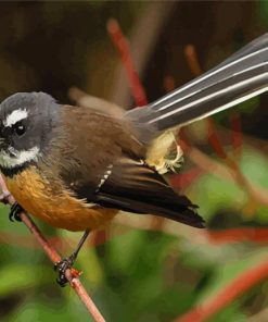 Aesthetic New Zealand Fantail Diamond Painting