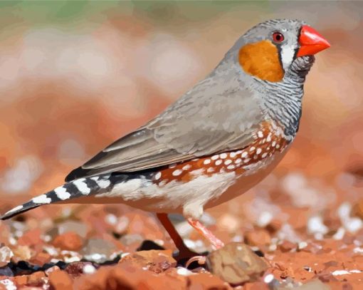 Aesthetic Zebra Finch Diamond Painting