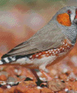 Aesthetic Zebra Finch Diamond Painting