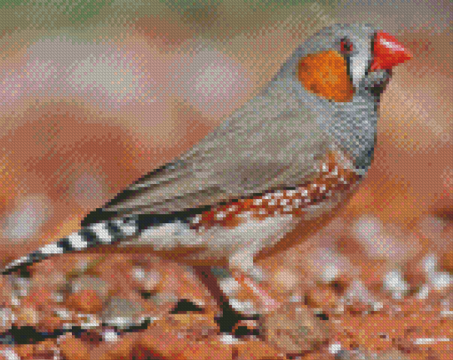 Aesthetic Zebra Finch Diamond Painting