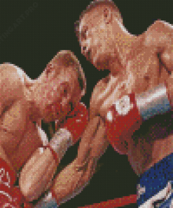 Aesthetic Micky Ward Diamond Painting