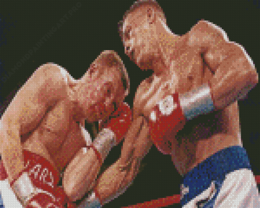 Aesthetic Micky Ward Diamond Painting