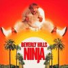 Beverly Hills Ninja Diamond Painting