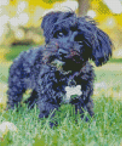 Black Yorkipoo Diamond Painting