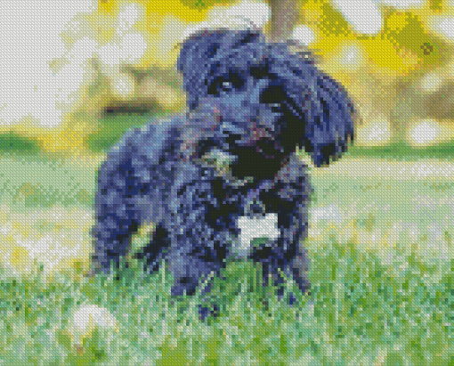 Black Yorkipoo Diamond Painting